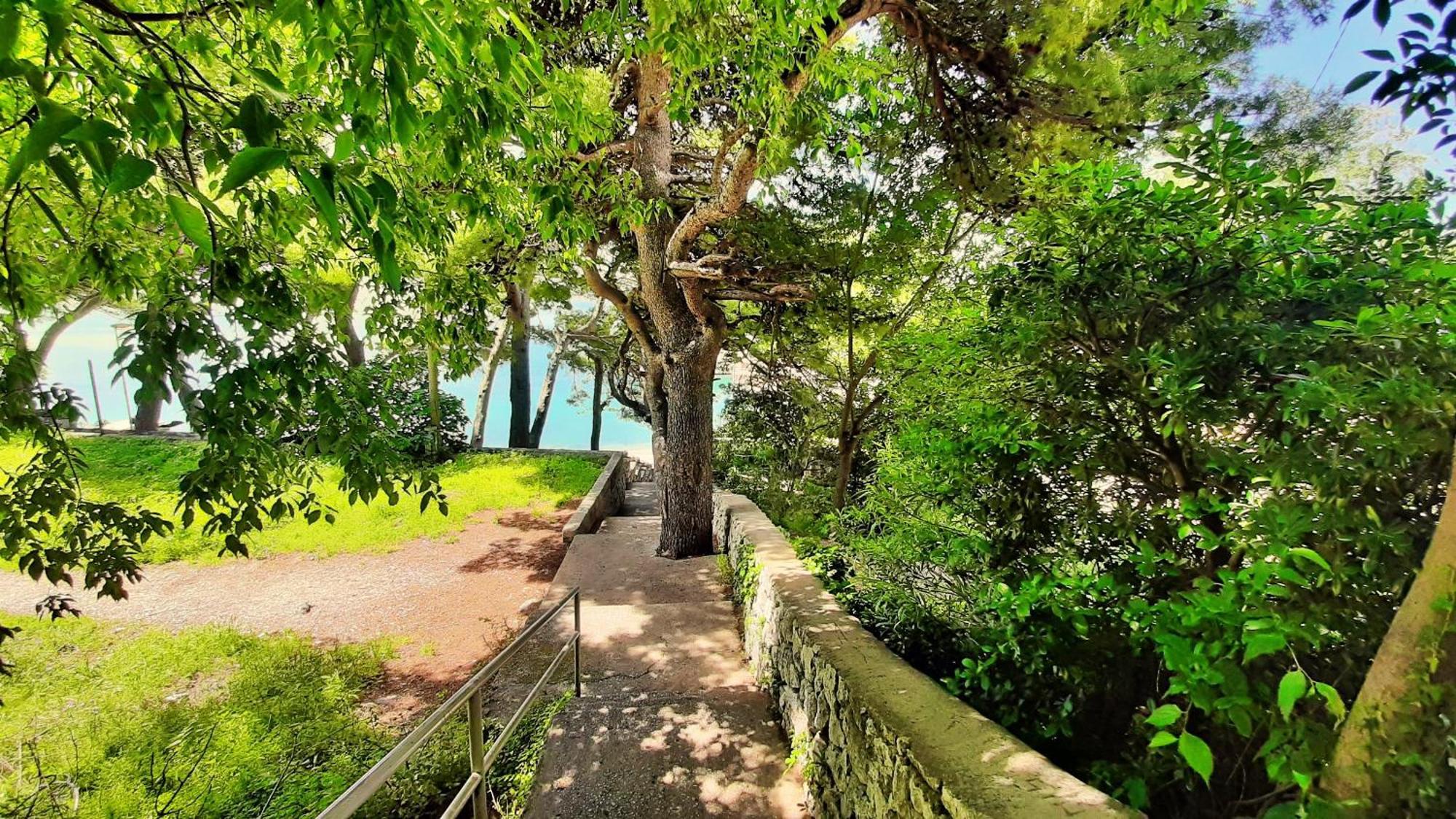 Apartment Tica Omis Bagian luar foto